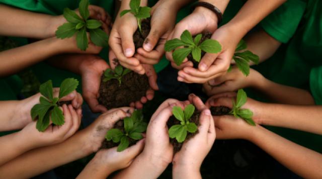 World Environment Day